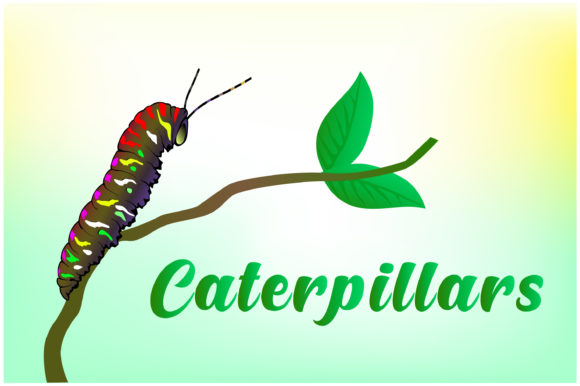 Caterpillars Hand Drawn Illustrations: A Fresh Design Asset