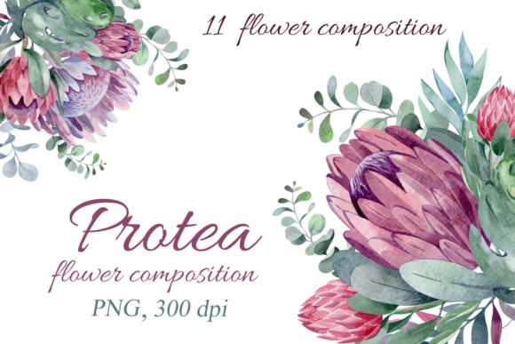 Unleash Tropical Elegance: The Protea Flower Composition Set